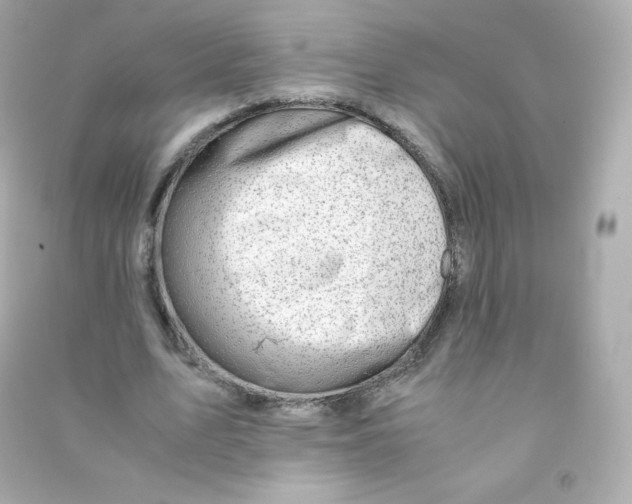 X0000090430583200708102007