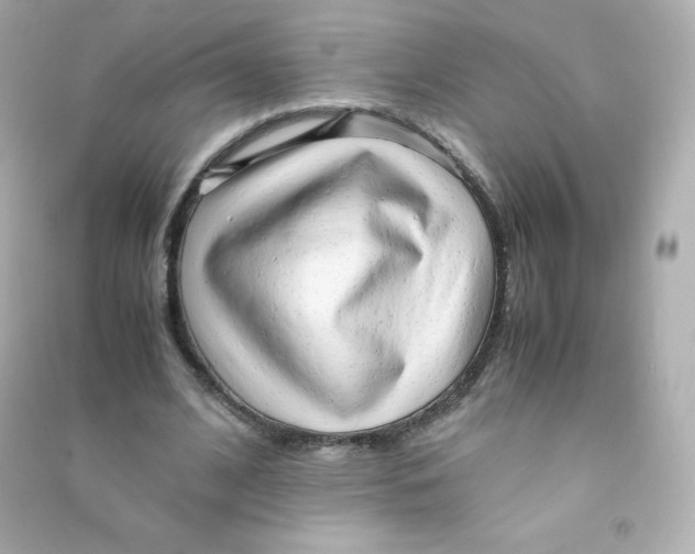 X0000090430584200708102007