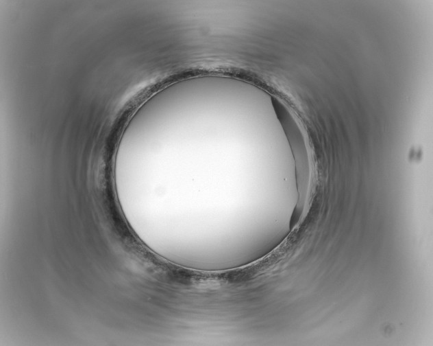 X0000090430587200708102007