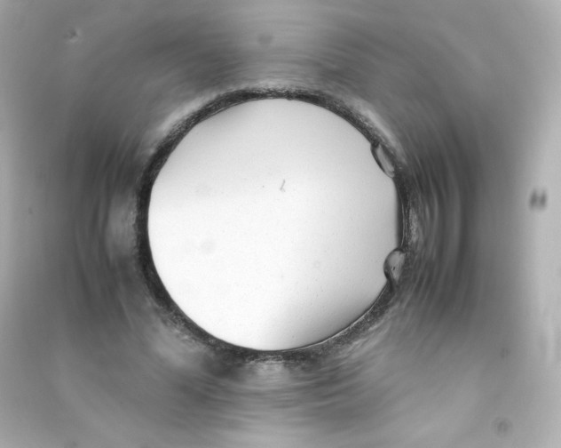 X0000090430588200708102007