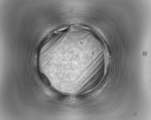X0000090430589200708102007