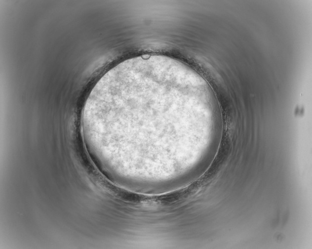 X0000090430591200708102007