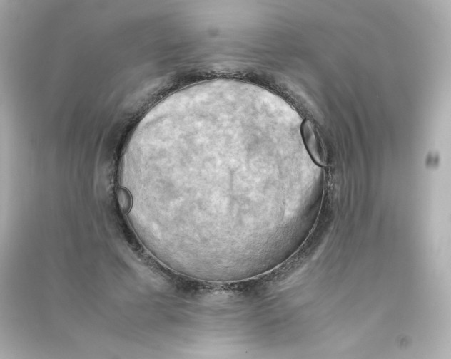 X0000090430593200708102007