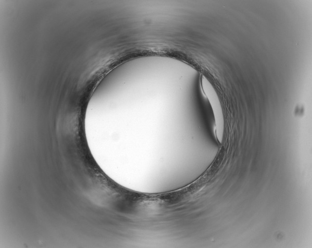 X0000090430595200708102007