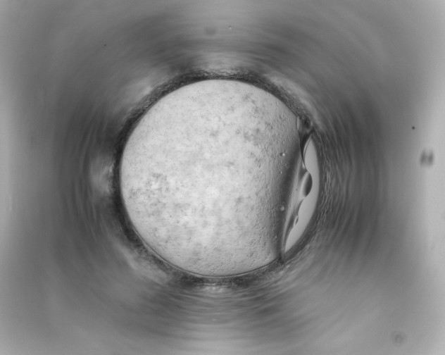 X0000090430596200708102007