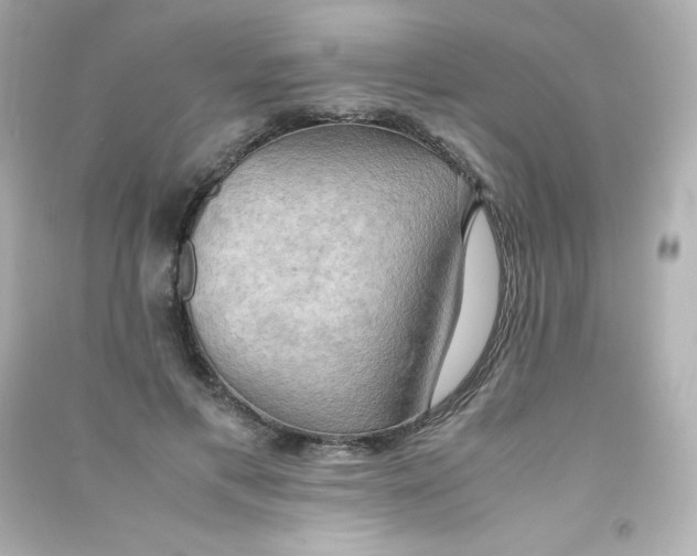 X0000090430597200708102007
