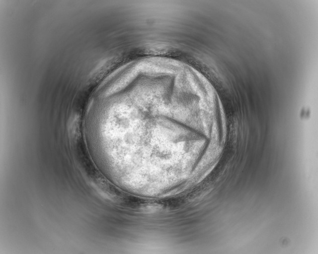 X0000090430598200708102007