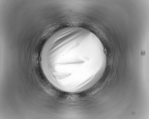 X0000090430599200708102007