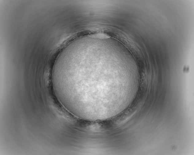 X0000090430600200708102007