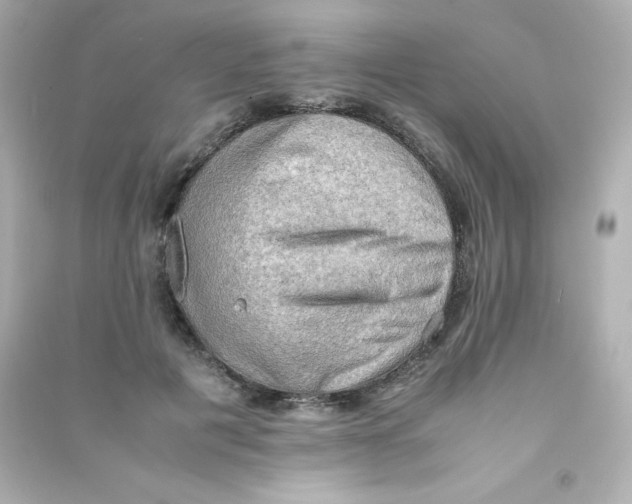 X0000090430601200708102007