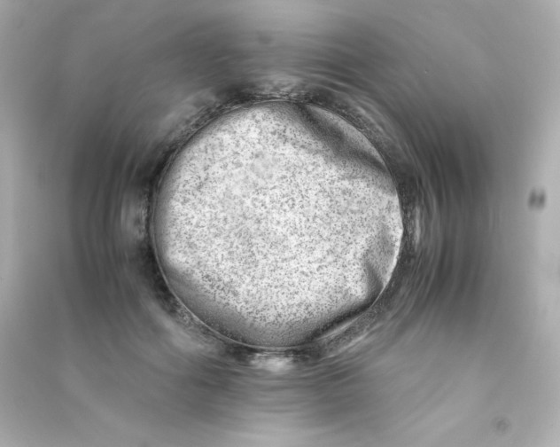 X0000090430602200708102007
