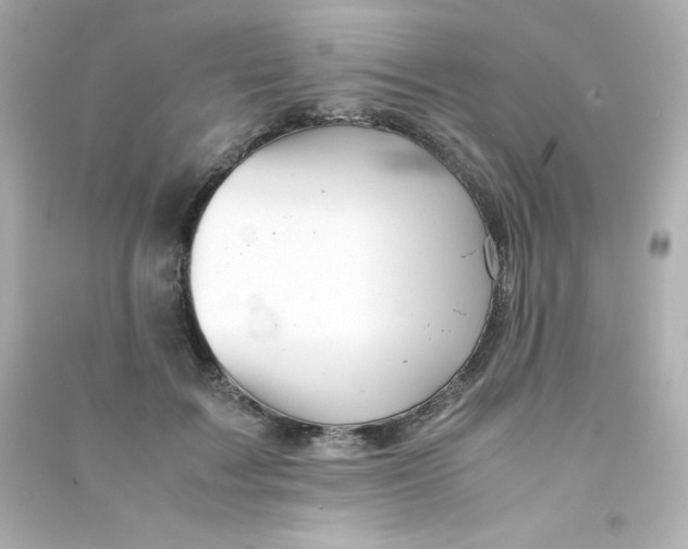 X0000090430603200708102007
