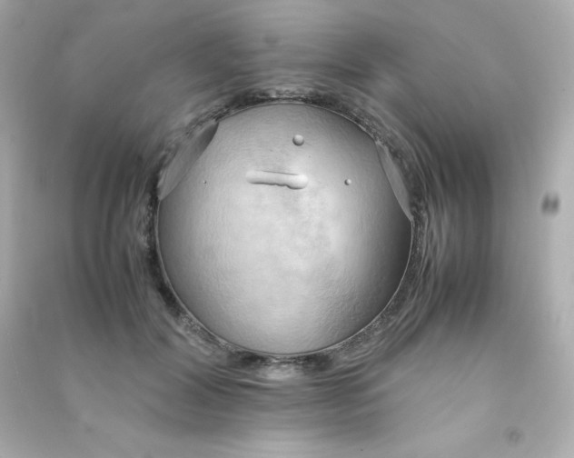 X0000090430604200708102007