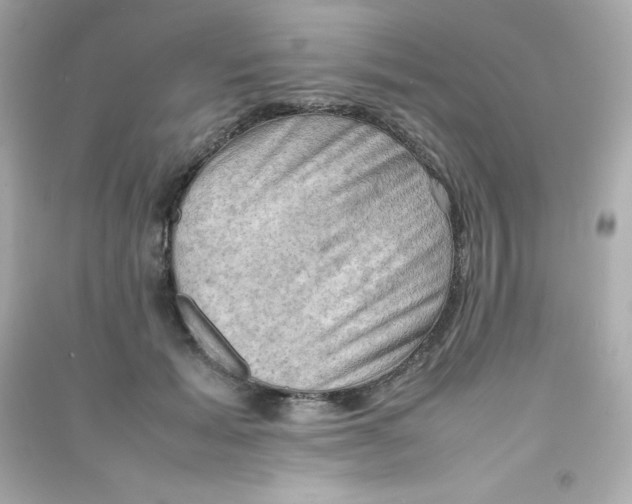 X0000090430605200708102006