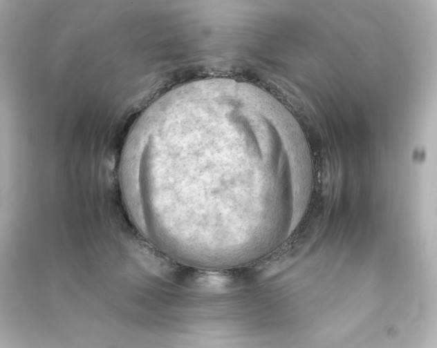 X0000090430610200708102006