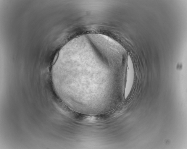 X0000090430611200708102006