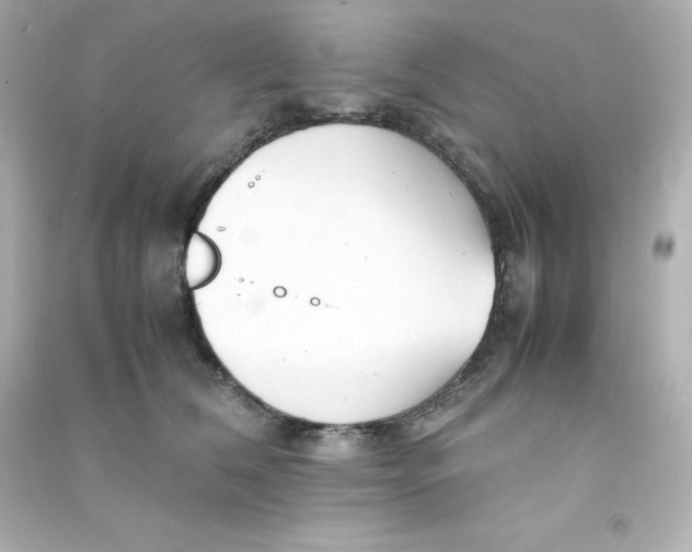 X0000090430612200708102006