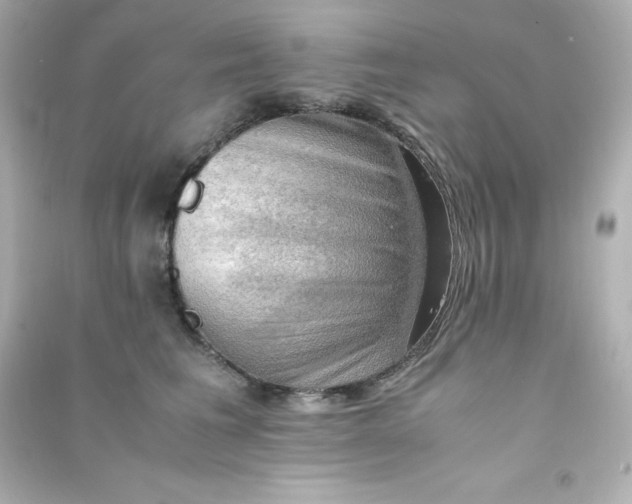 X0000090430613200708102006