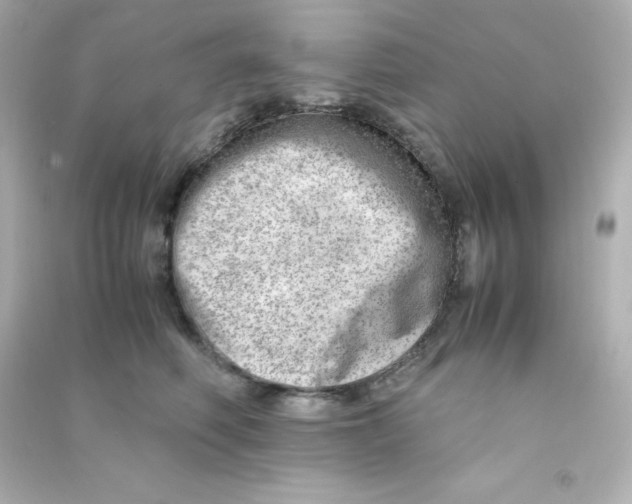 X0000090430614200708102006