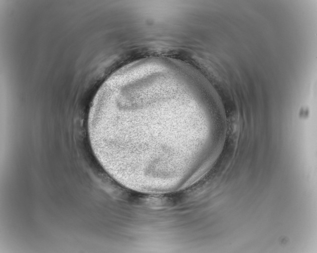 X0000090430615200708102006