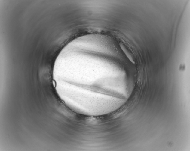 X0000090430616200708102006