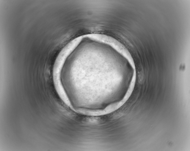 X0000090430618200708102006
