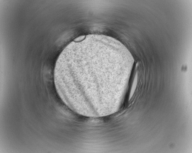 X0000090430619200708102006