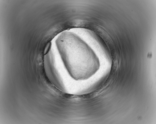 X0000090430620200708102006