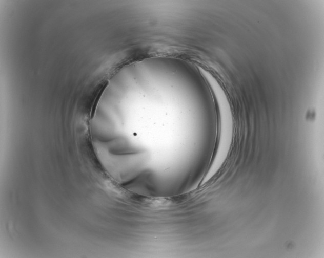 X0000090430621200708102006