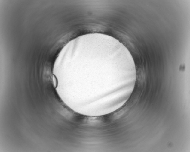 X0000090430622200708102006