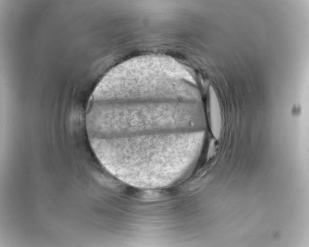 X0000090430623200708102006