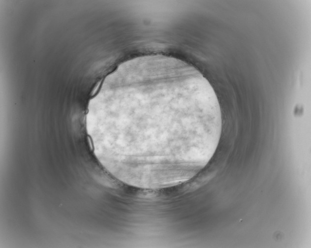 X0000090430624200708102006
