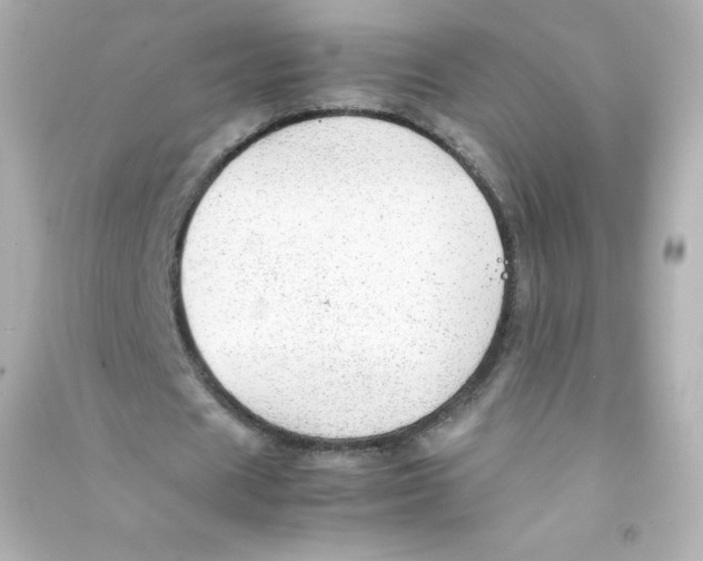 X0000090430625200708102006