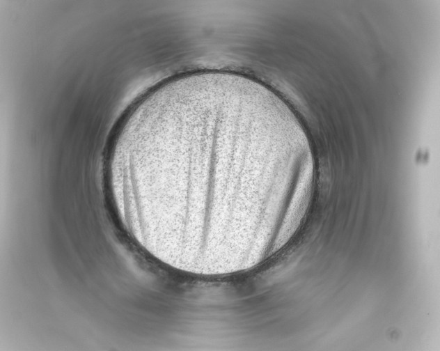 X0000090430626200708102006