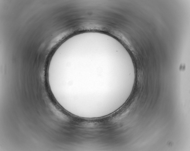 X0000090430629200708102006