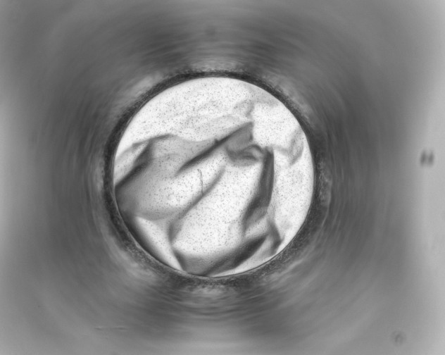 X0000090430631200708102006