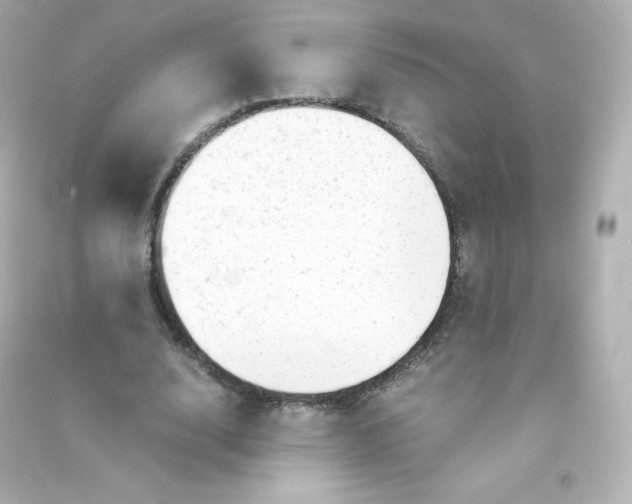 X0000090430632200708102006