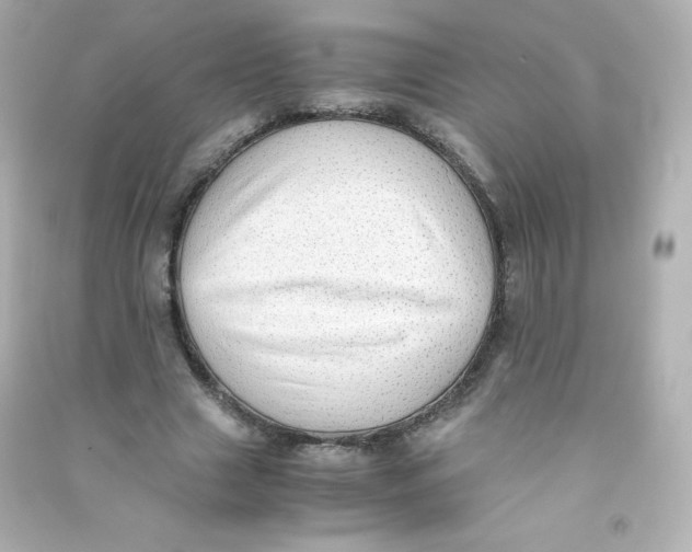 X0000090430633200708102006