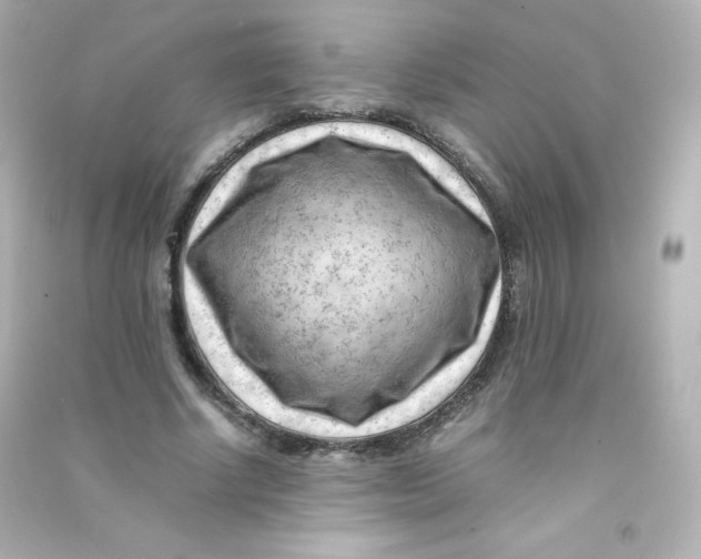 X0000090430634200708102006