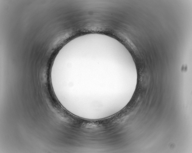 X0000090430635200708102006