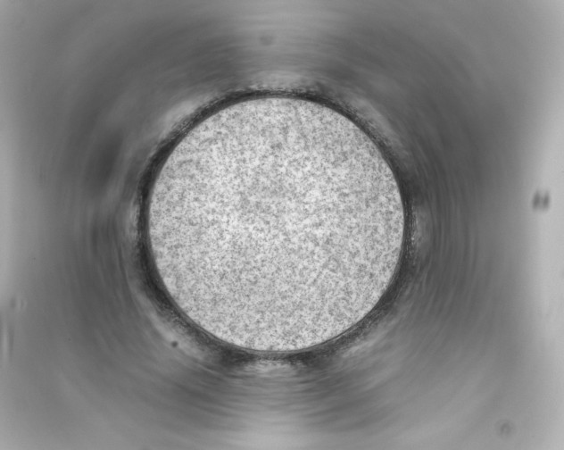 X0000090430636200708102006