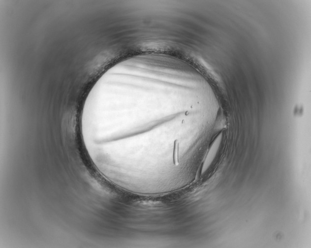 X0000090430637200708102006