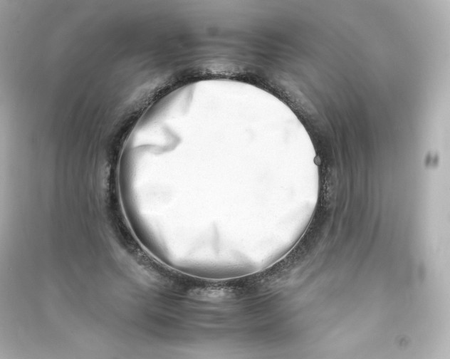 X0000090430639200708102006