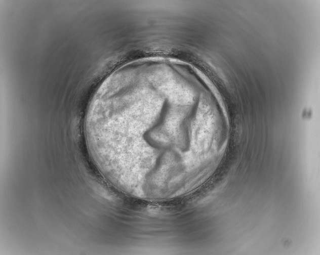 X0000090430641200708102006