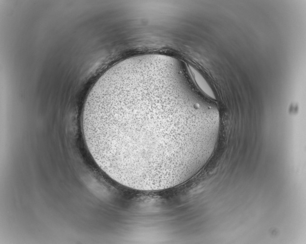 X0000090430642200708102006