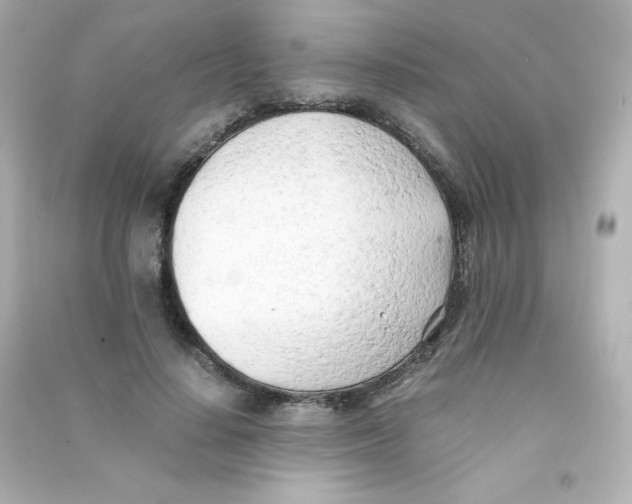 X0000090430644200708102006