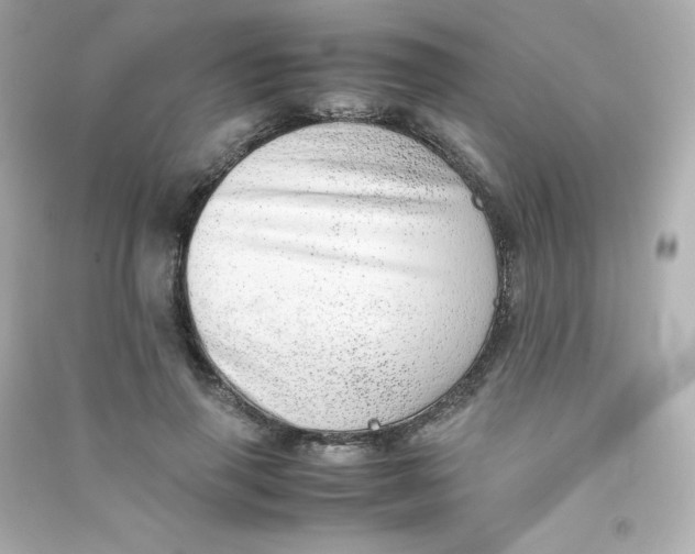 X0000090430645200708102006