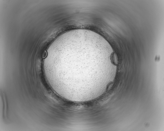 X0000090430646200708102006