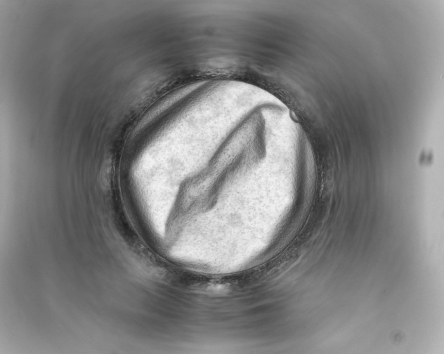 X0000090430647200708102006