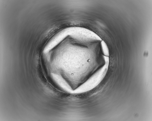 X0000090430648200708102006